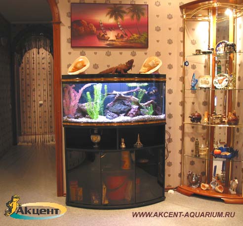 Акцент-аквариум,аквариум 200 литров с гнутым передним стеклом